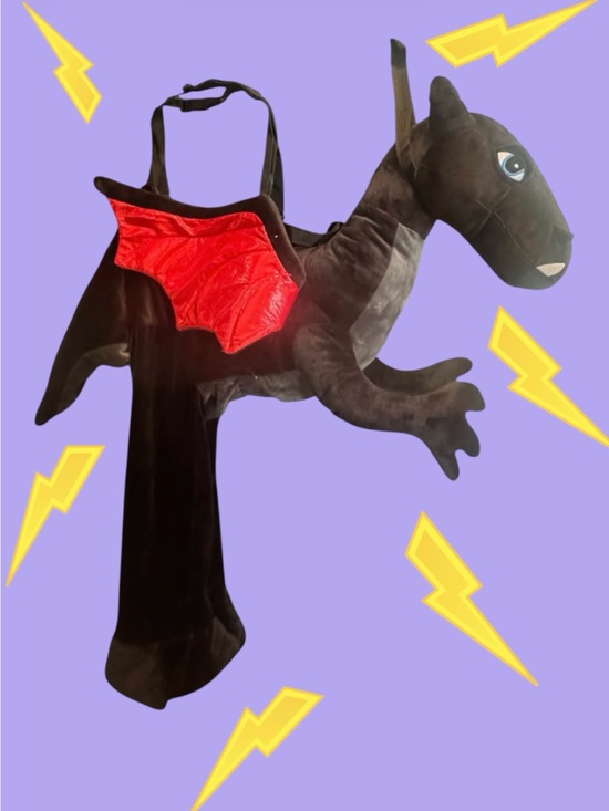 Other - Black Dragon Ride On Halloween Costume with Red Wings